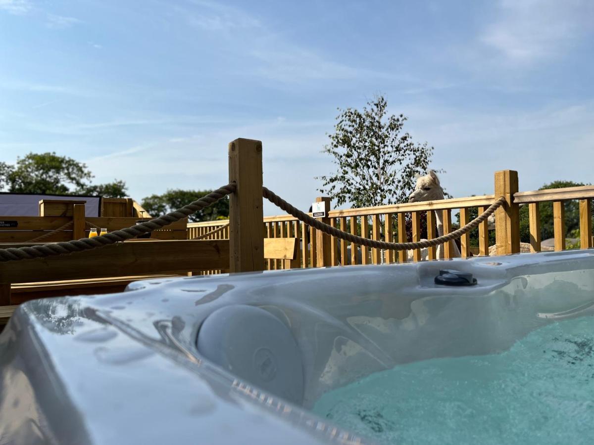 Jungle Book Safari Tent Tenby Εξωτερικό φωτογραφία