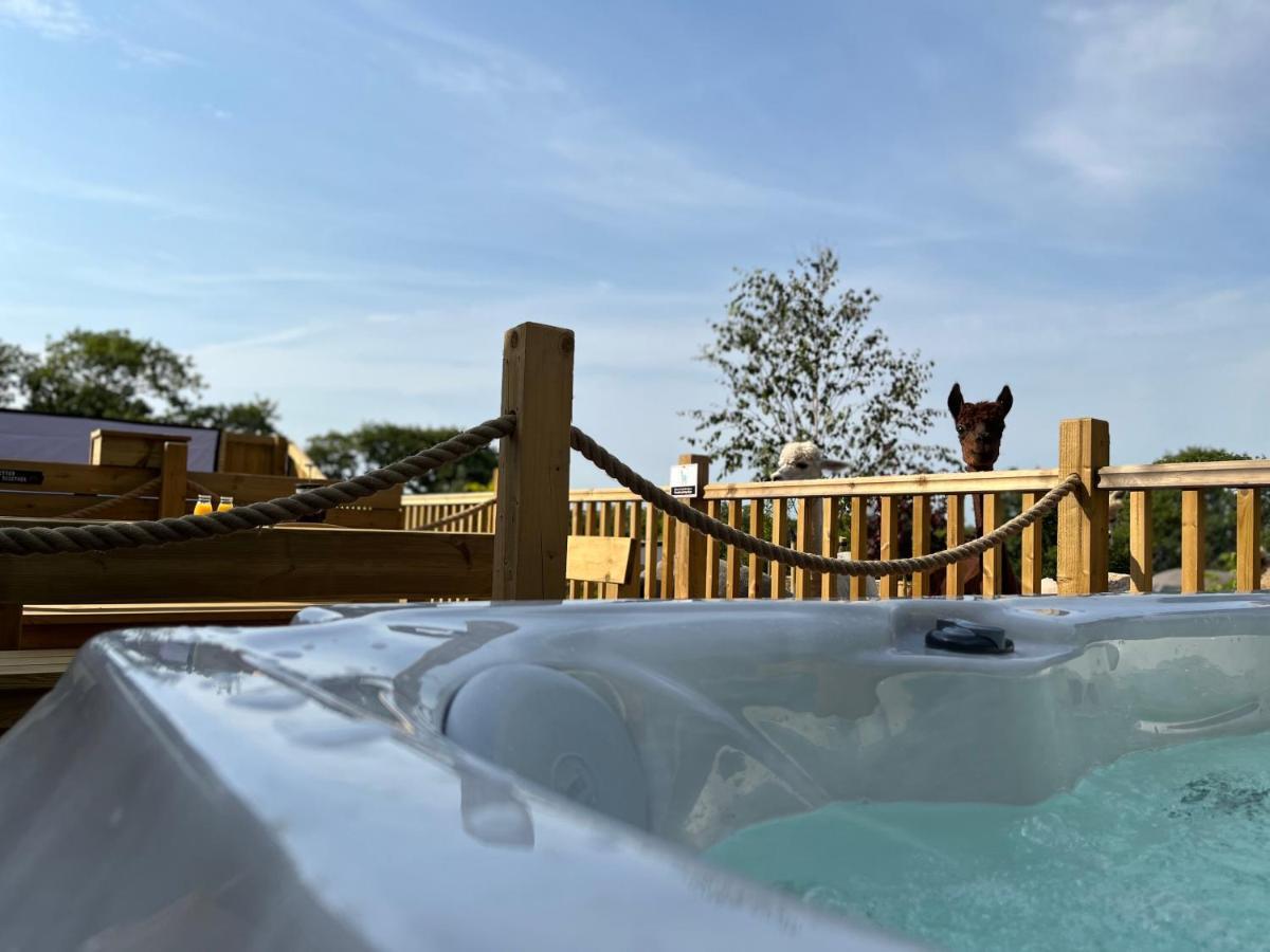 Jungle Book Safari Tent Tenby Εξωτερικό φωτογραφία