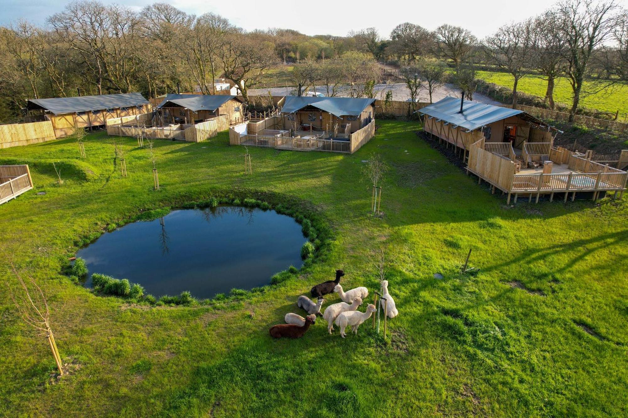 Jungle Book Safari Tent Tenby Εξωτερικό φωτογραφία